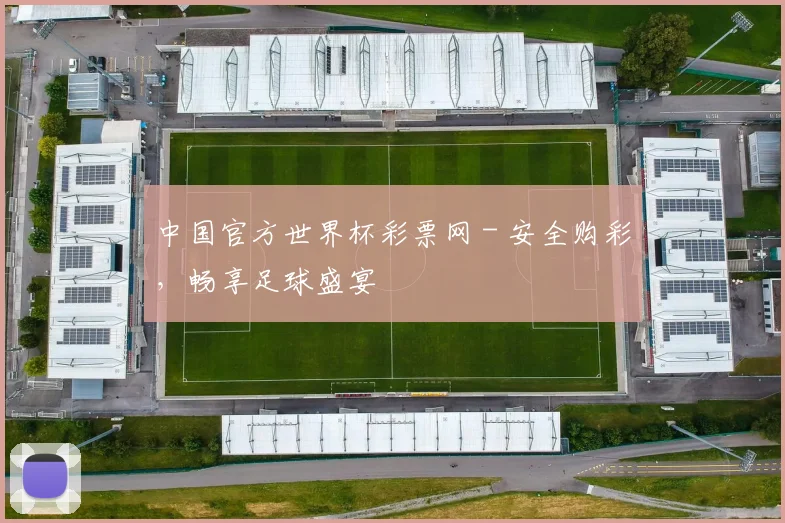 中国官方世界杯彩票网 - 安全购彩,畅享足球盛宴