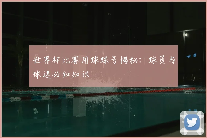 世界杯比赛用球球号揭秘：球员与球迷必知知识