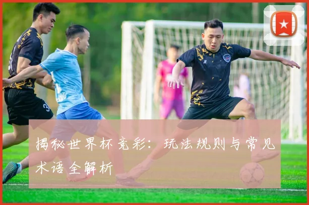 揭秘世界杯竞彩:玩法规则与常见术语全解析