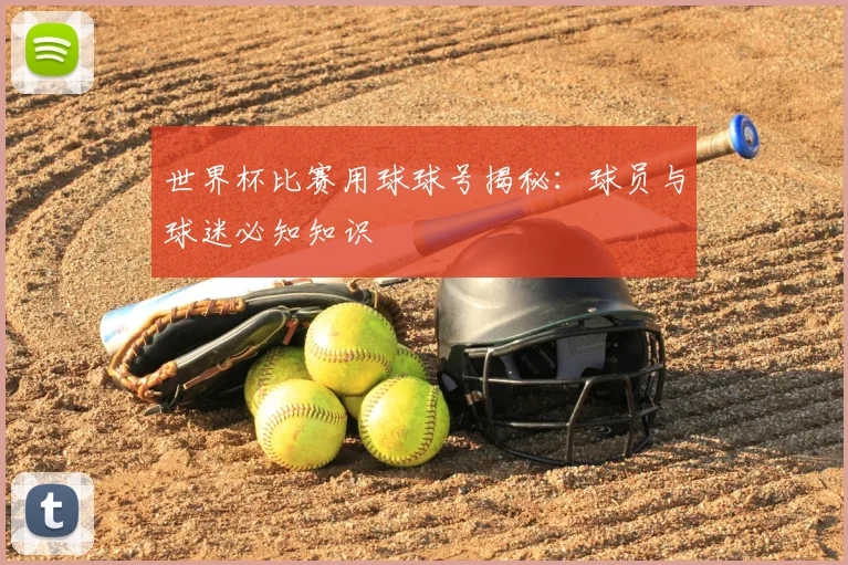 世界杯比赛用球球号揭秘：球员与球迷必知知识