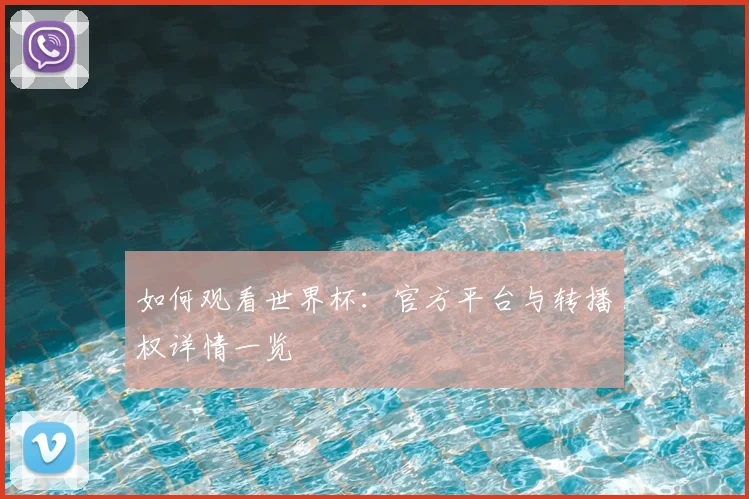如何观看世界杯:官方平台与转播权详情一览