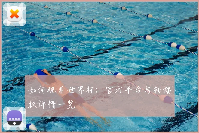 如何观看世界杯:官方平台与转播权详情一览